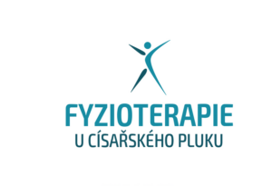 Fyzioterapie Praha, s.r.o.